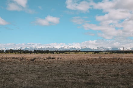 Why should NZ Farmers embrace Safe Ag Systems?