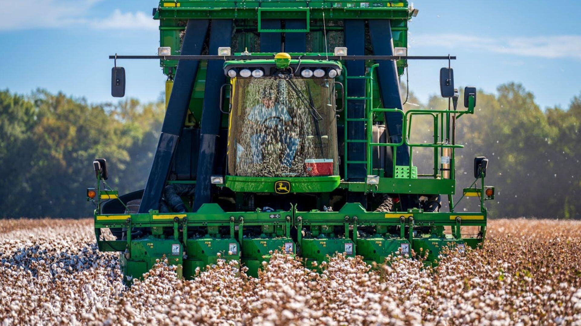 cotton-farm-farmer-picker-pexels