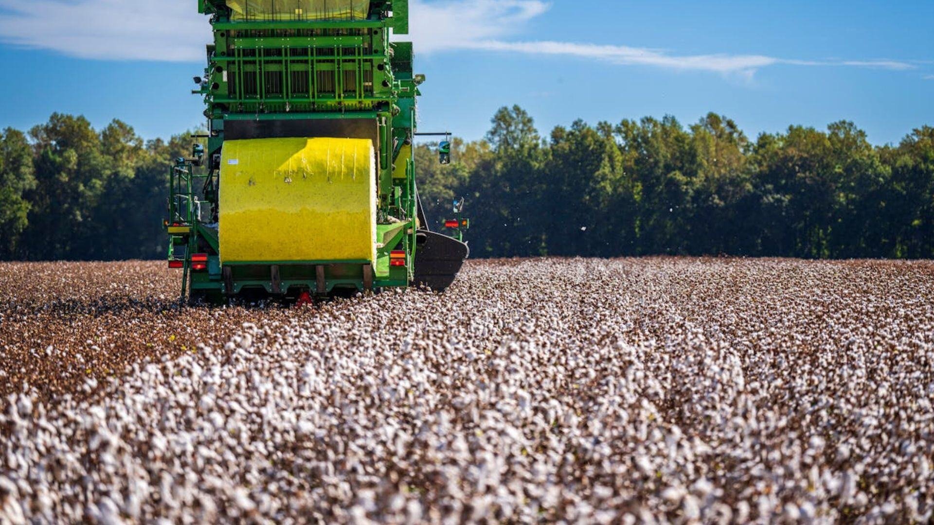 cotton-farm-picker-machine-pexels