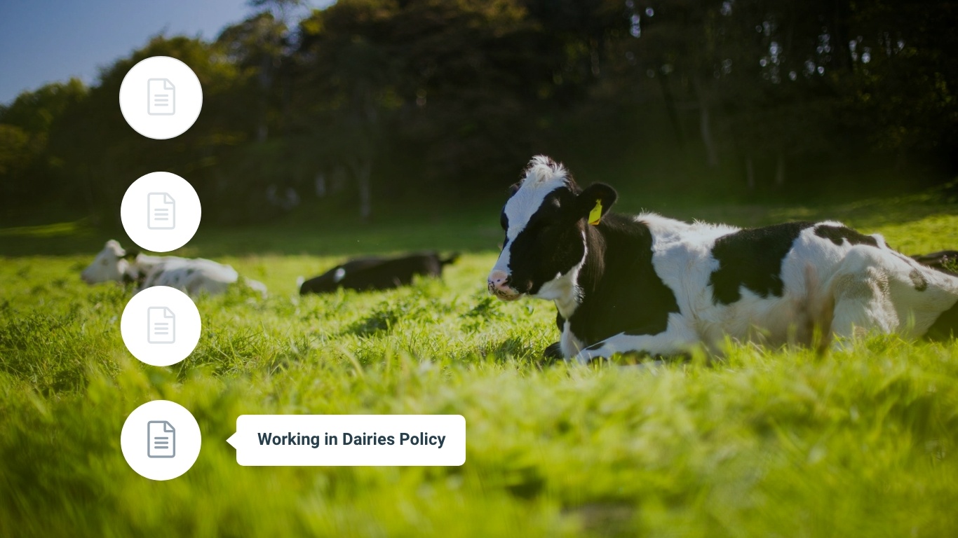 dairy-commodity-policy