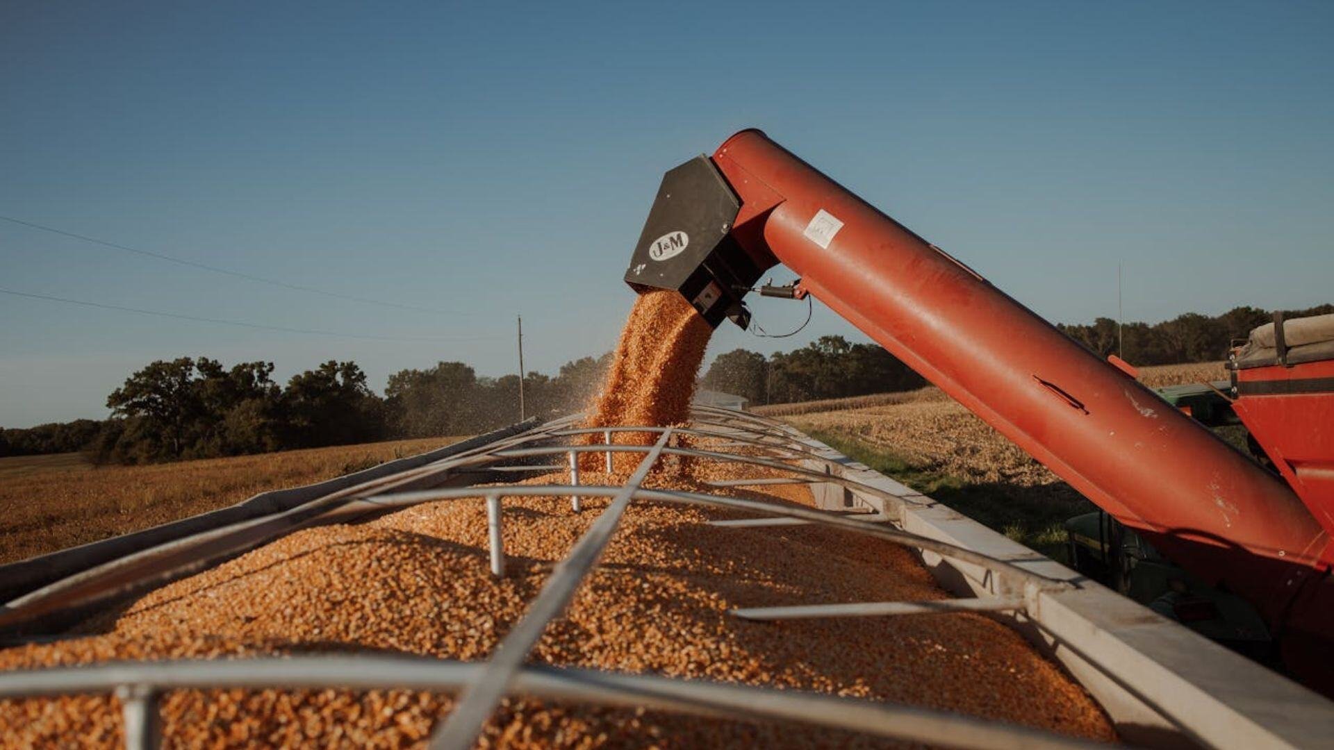 grain-auger-pexels