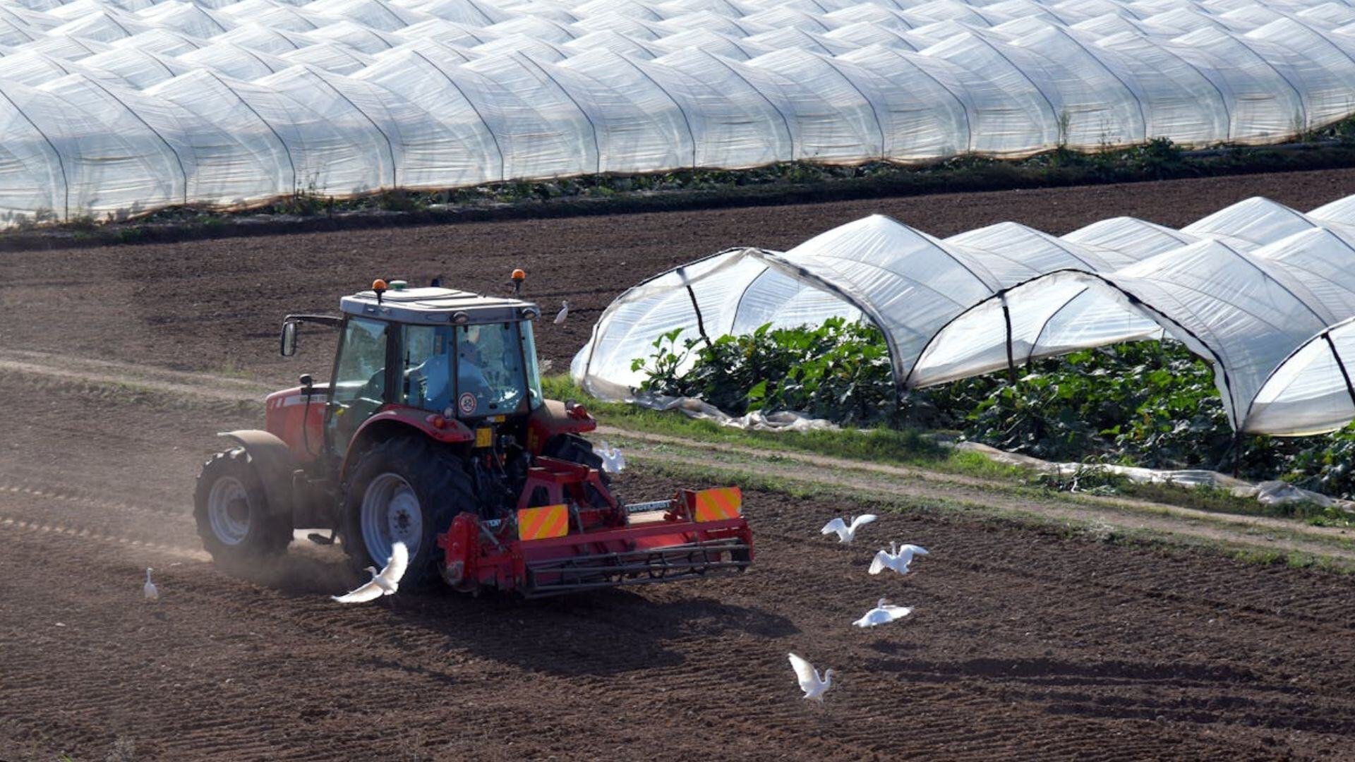 horticulture-machine-pexels