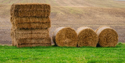 Planning for Safety, Hay Edition