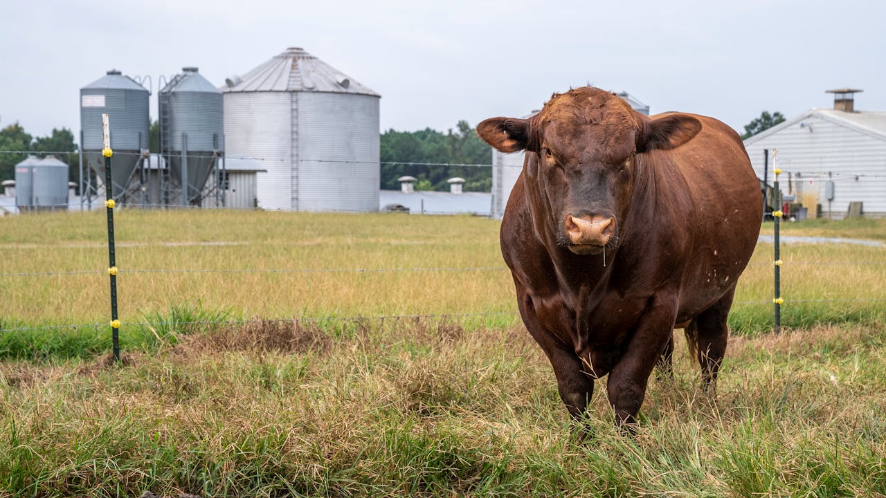 pexels-farm-operations-reporting