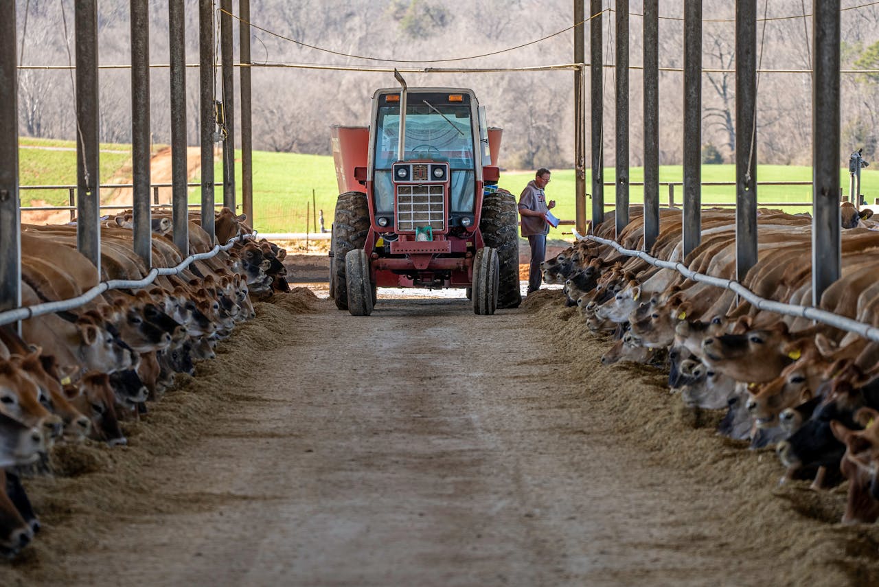 pexels-nc-farm-bureau-mark-11357090