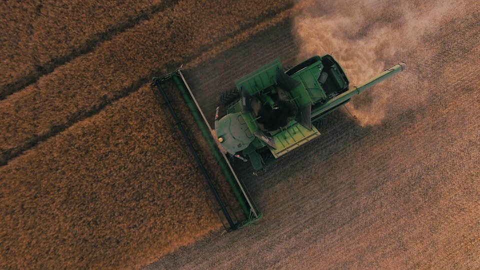 Header harvesting wheat