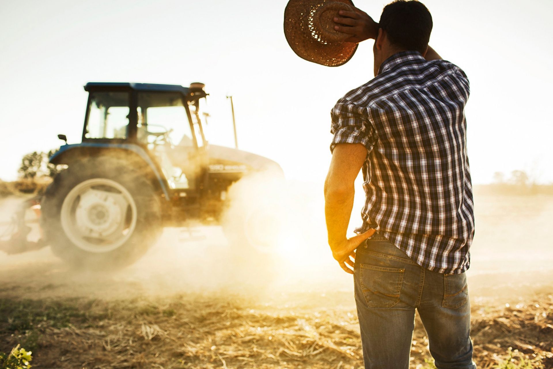 Summer on a farm