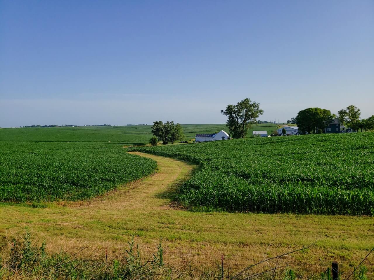 Iowa crop field