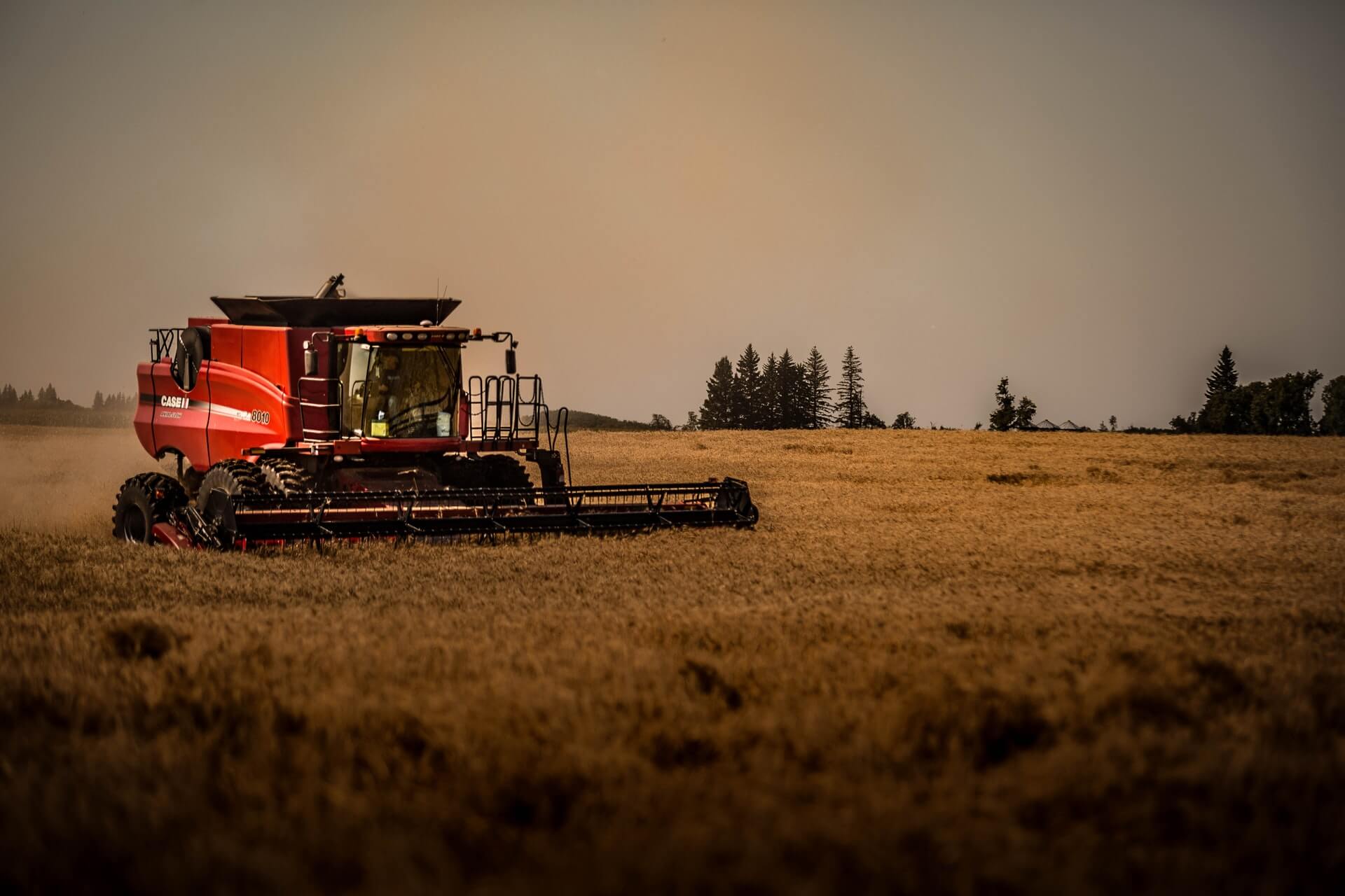 Header in crop field during harvest