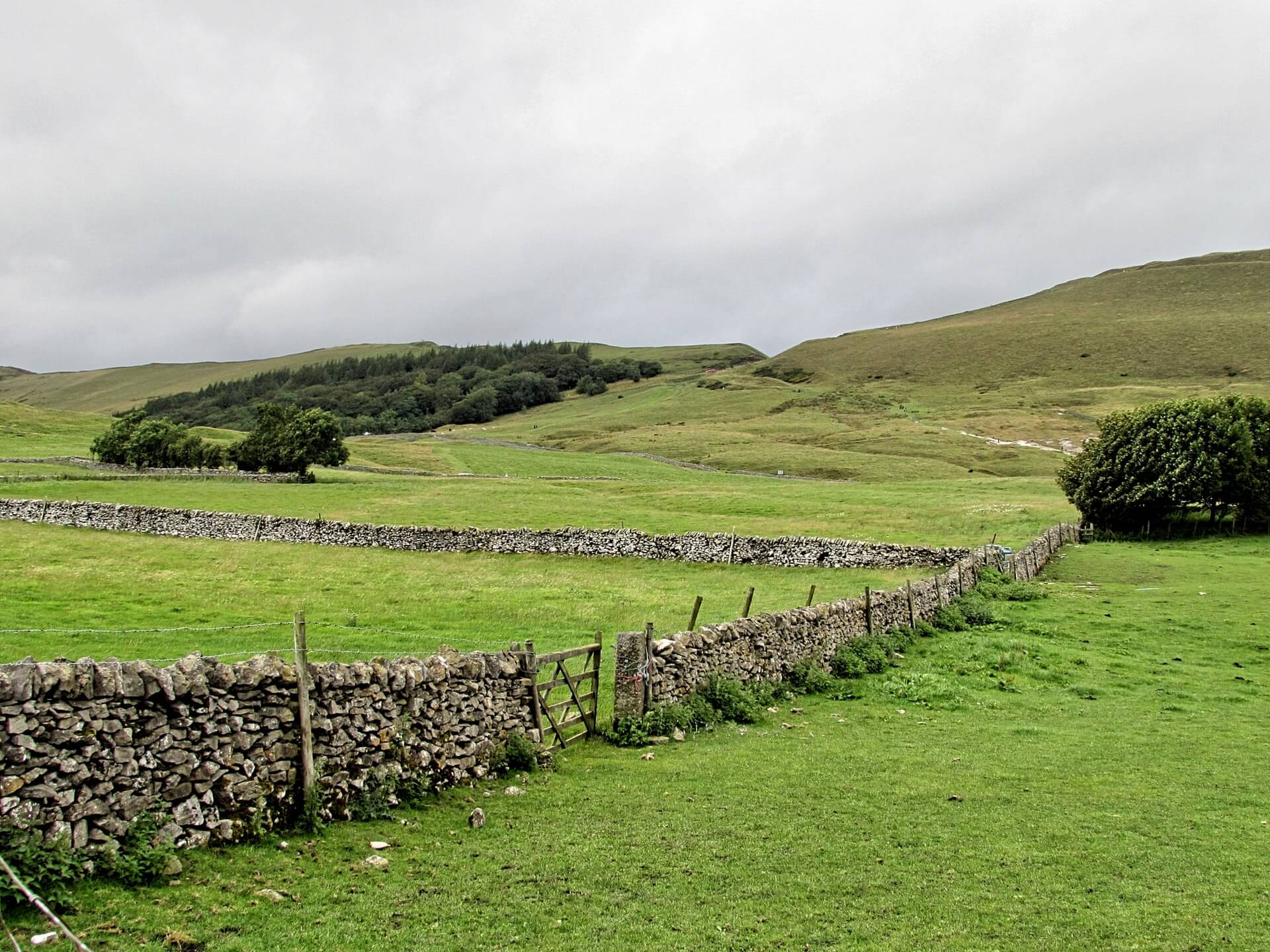 Stone fence in UK countryside