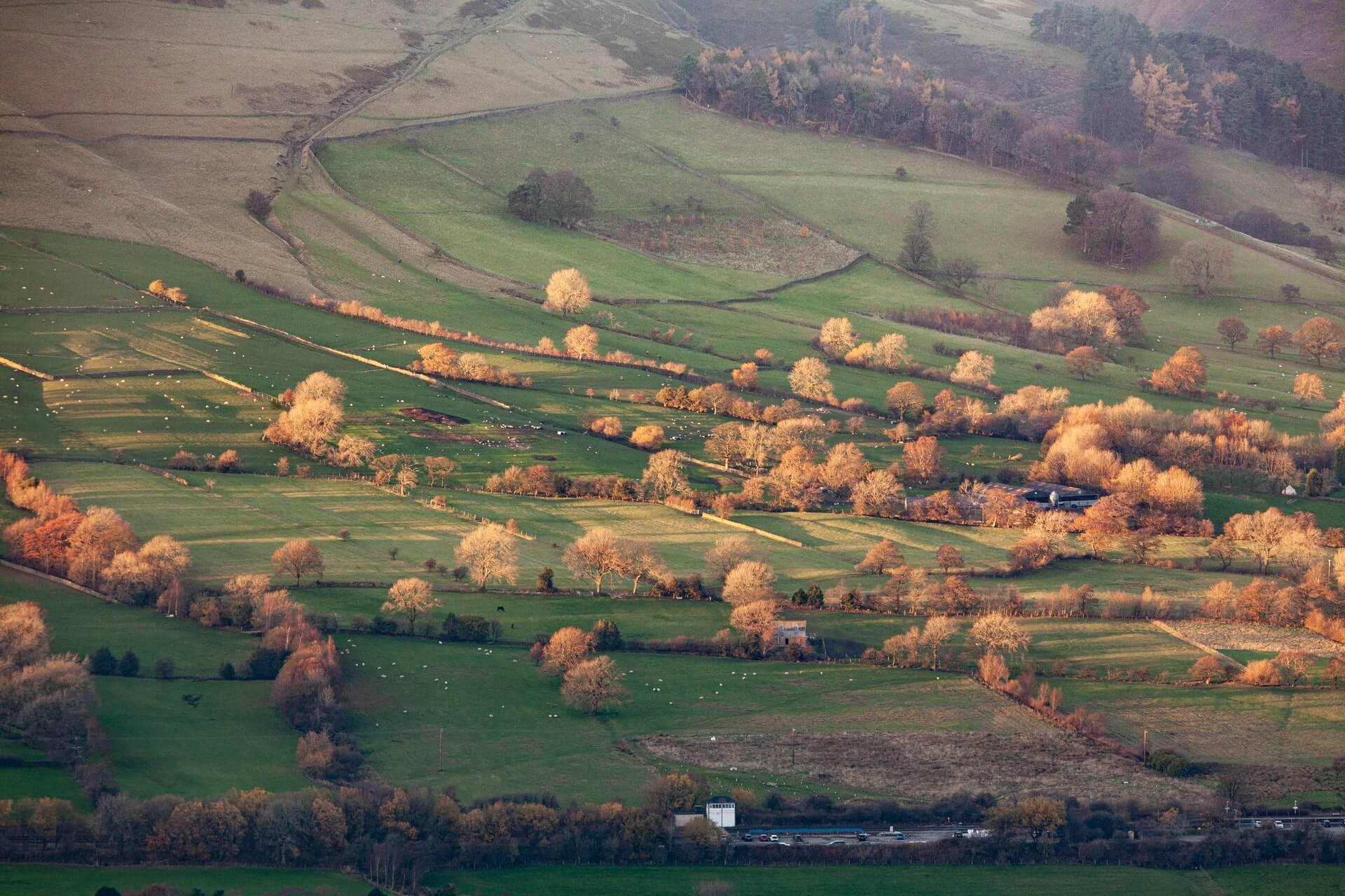 farming fields in the UK