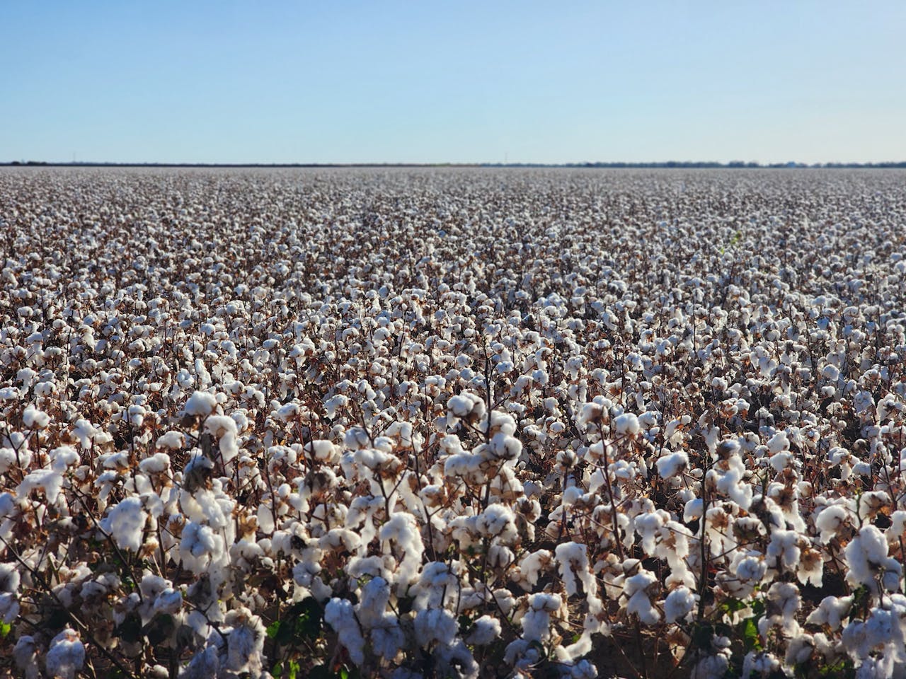 grain grower farm