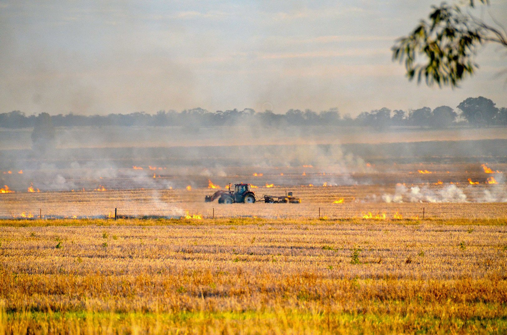 Crop field on fire with tractor